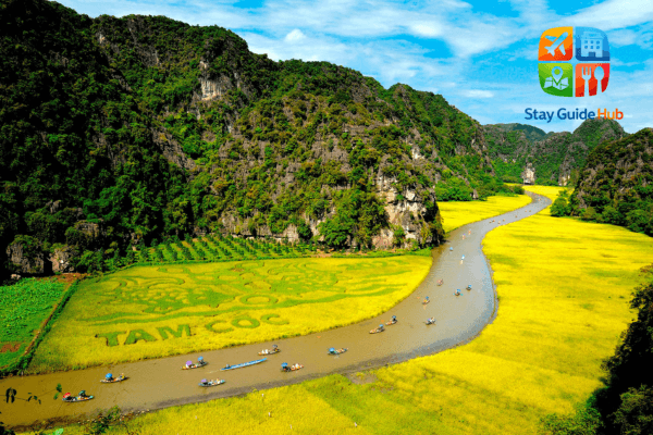 dong-lua-ninh-binh