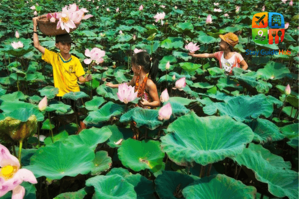 dong-thap-muoi