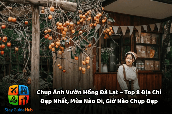 Chụp Ảnh Vườn Hồng Đà Lạt – Top 8 Địa Chỉ Đẹp Nhất, Mùa Nào Đi, Giờ Nào Chụp Đẹp