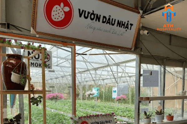 vuon-dau-nhat-co-thao
