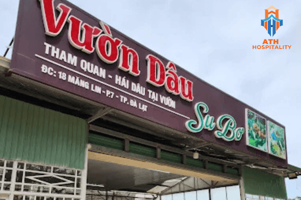 vuon-dau-su-bo