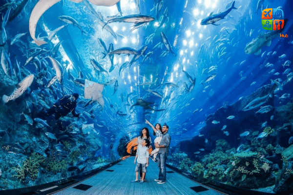 vien-hai-duong-hoc-nha-trang