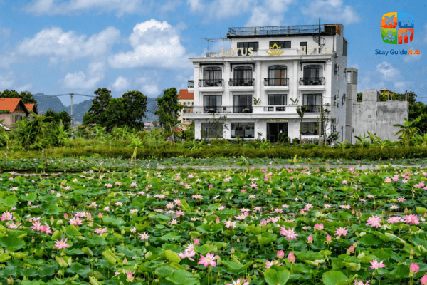 lotus-hotel-ninh-binh