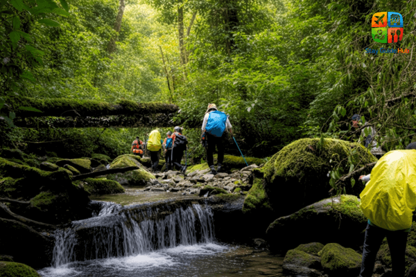 trekking-vuon-quoc-gia-bidoup-nui-ba