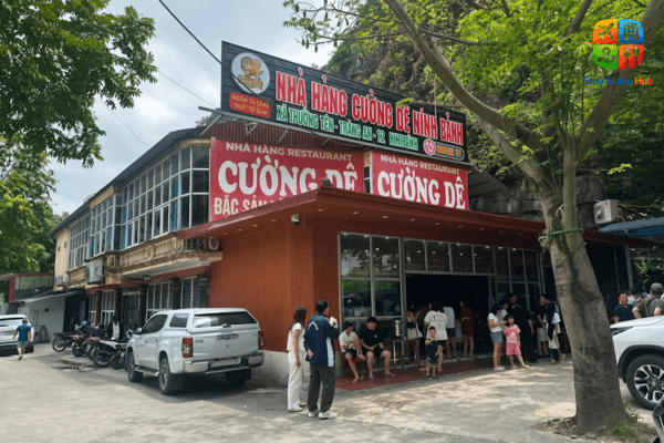 bai-do-xe-cuong-de-ninh-binh